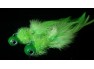 Fluo zelená